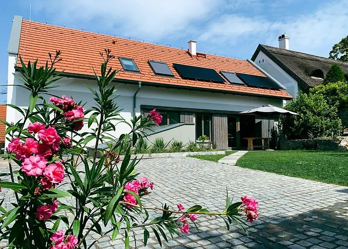 Kaska Haz * 蒂豪尼